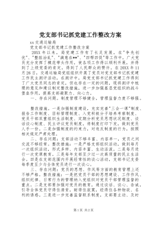 党支部书记抓党建工作整改方案