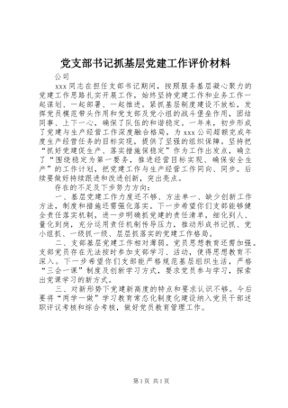 党支部书记抓基层党建工作评价材料
