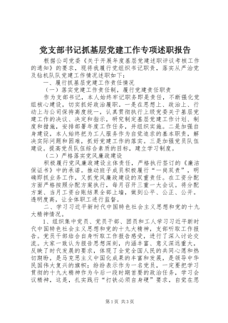 党支部书记抓基层党建工作专项述职报告