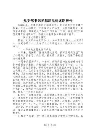 党支部书记抓基层党建述职报告
