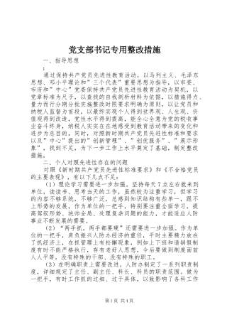 党支部书记专用整改措施