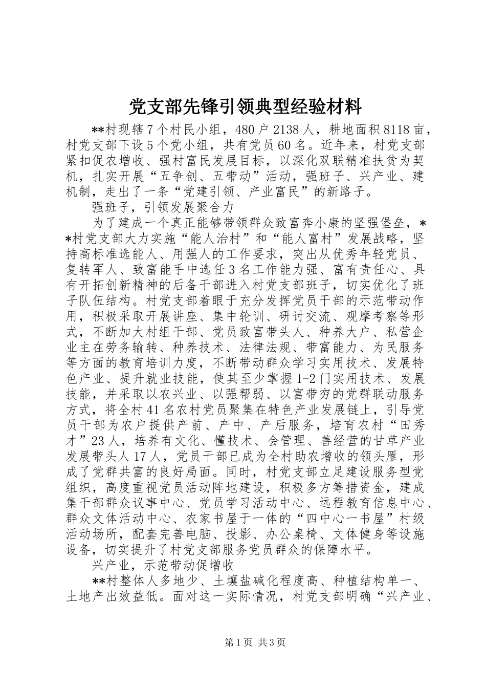 党支部先锋引领典型经验材料_第1页