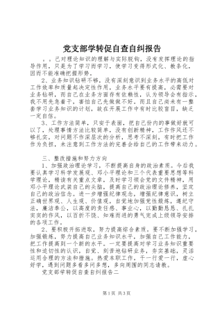 党支部学转促自查自纠报告