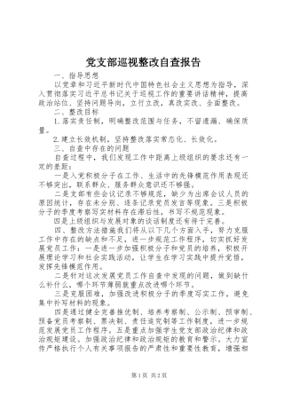党支部巡视整改自查报告