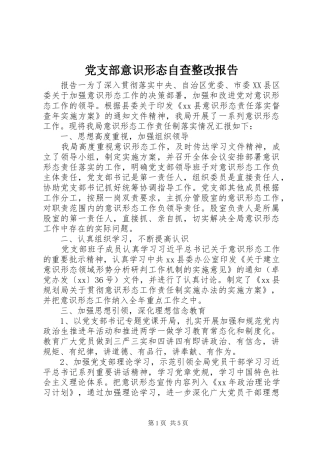 党支部意识形态自查整改报告