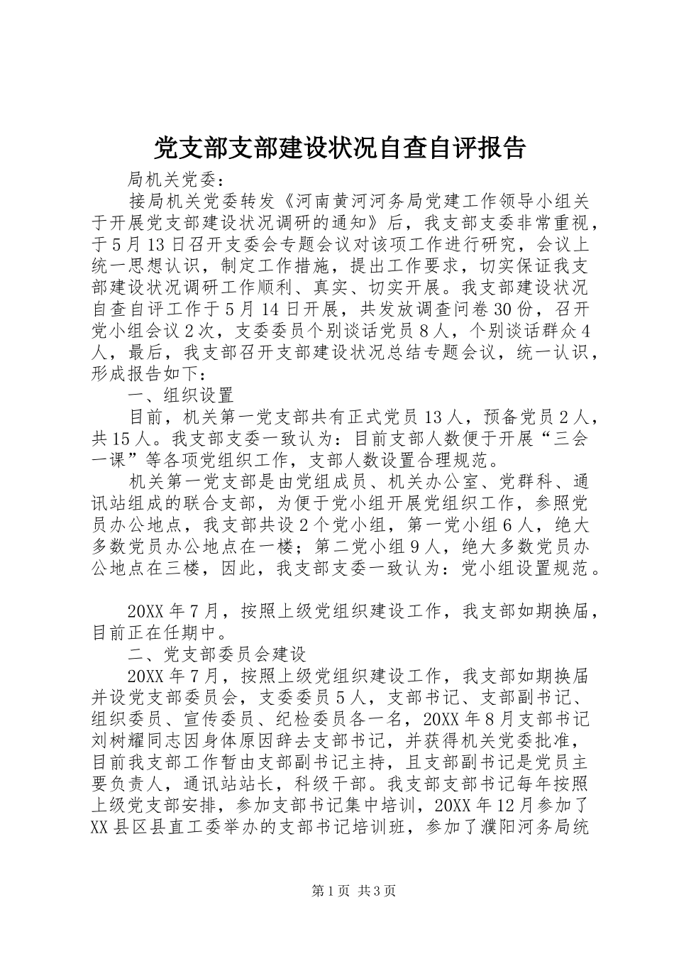 党支部支部建设状况自查自评报告_第1页