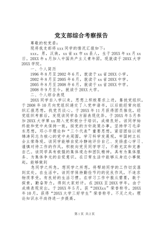 党支部综合考察报告