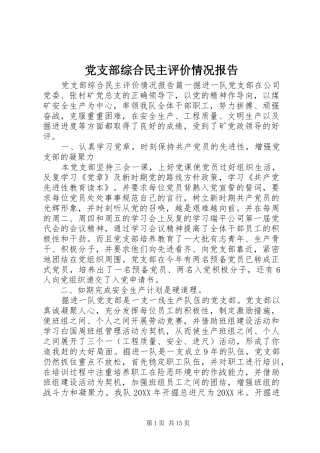 党支部综合民主评价情况报告
