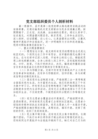 党支部组织委员个人剖析材料