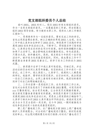党支部组织委员个人总结