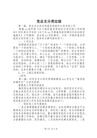 党总支分类定级