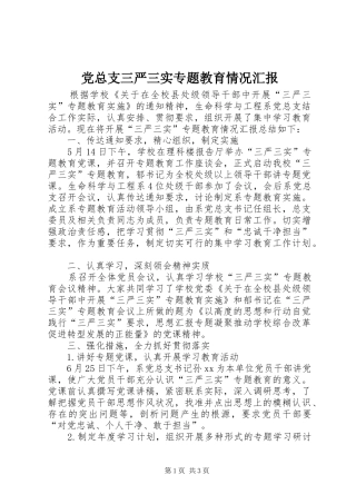 党总支三严三实专题教育情况汇报