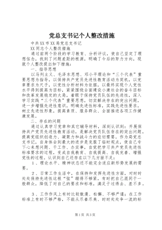 党总支书记个人整改措施