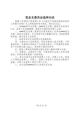 党总支委员会选举办法