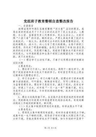 党组班子教育整顿自查整改报告
