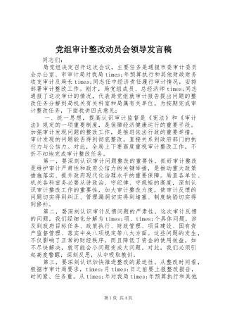 党组审计整改动员会领导讲话稿