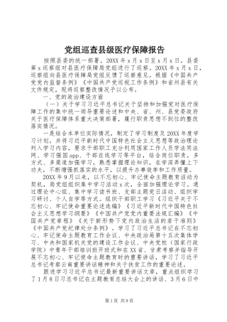 党组巡查县级医疗保障报告