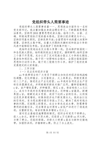 党组织带头人简要事迹