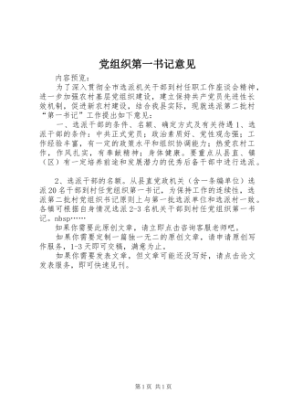 党组织第一书记意见