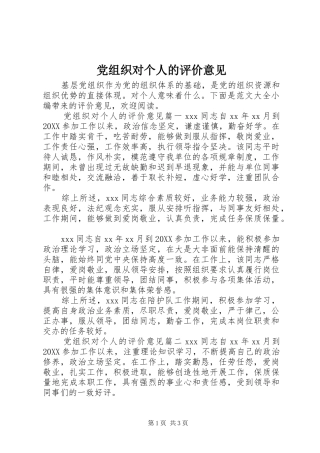 党组织对个人的评价意见