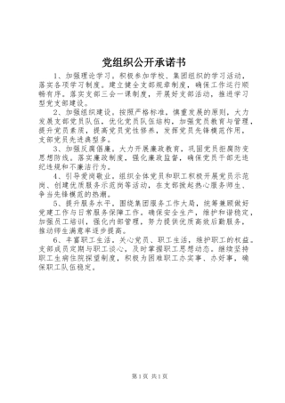 党组织公开承诺书