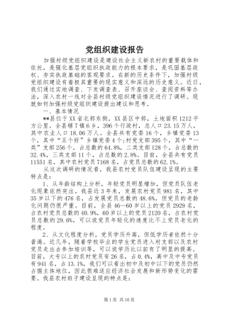 党组织建设报告
