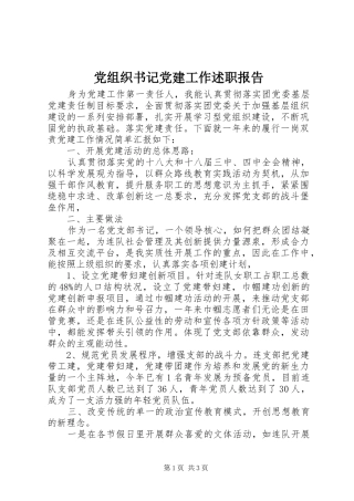 党组织书记党建工作述职报告