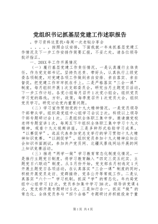 党组织书记抓基层党建工作述职报告