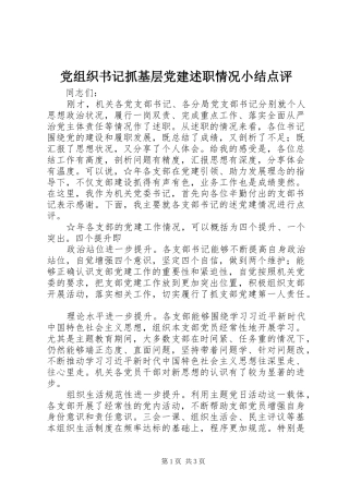 党组织书记抓基层党建述职情况小结点评