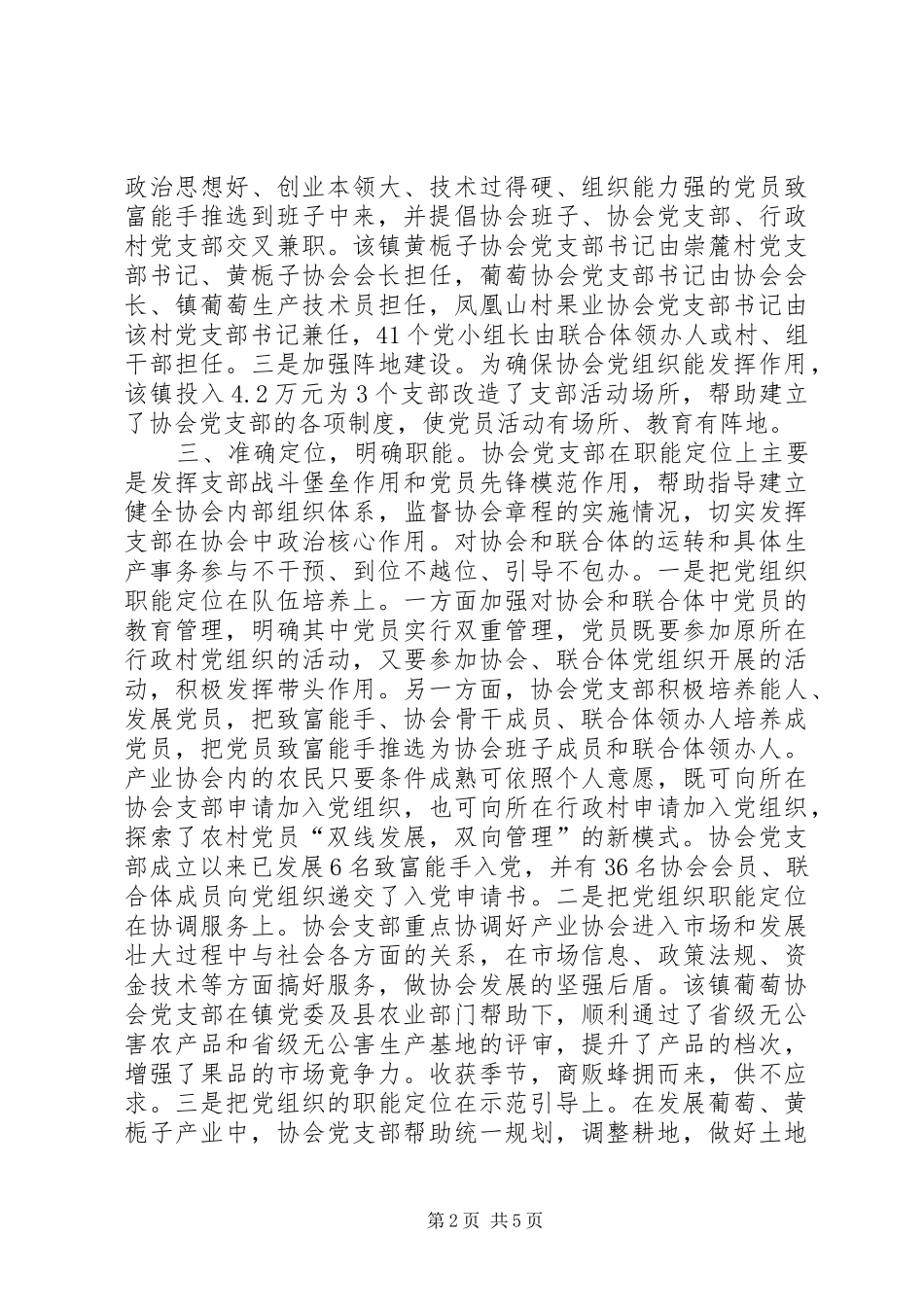 党组织引领协会报告_第2页