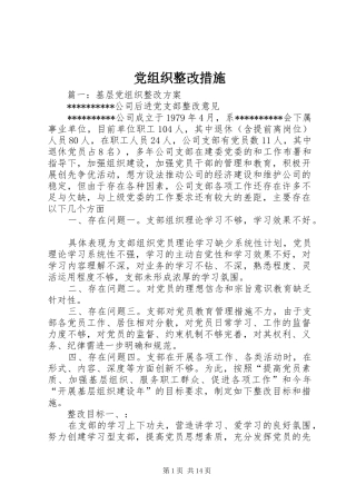 党组织整改措施