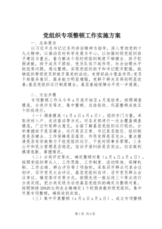 党组织专项整顿工作实施方案