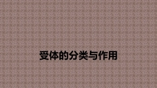 受体的分类与作用