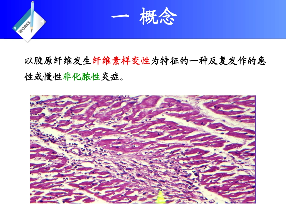 兽医外科学风湿病_第2页