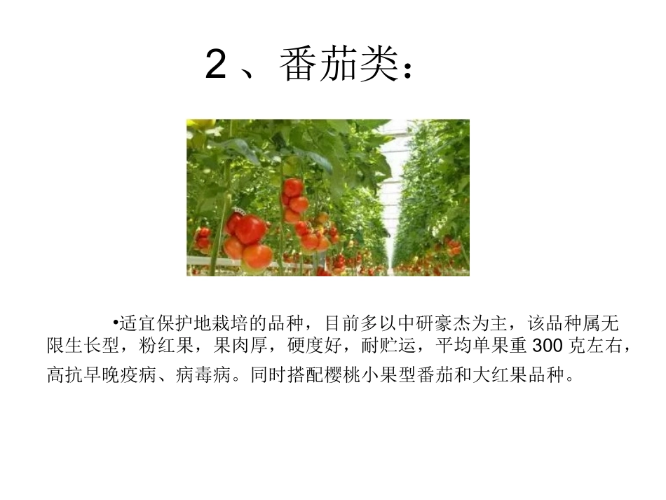 蔬菜种植栽培技术专题培训课件_第3页