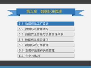数据标注工程课件数据标注管理