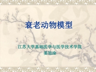 衰老动物模型