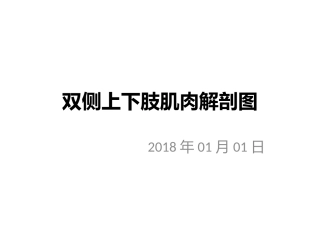 双侧上下肢肌肉解剖图