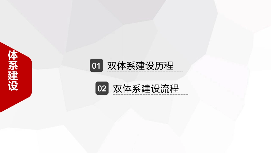 双重预防体系双体系建设工作汇报_第2页