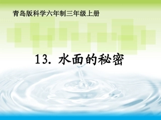 水面的秘密课件
