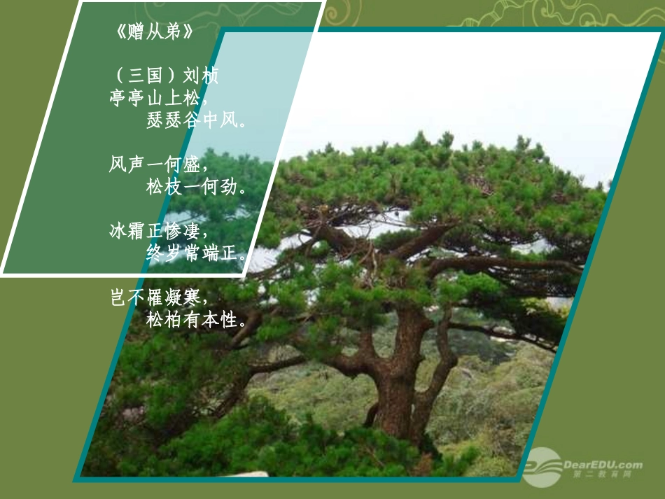 岁寒三友课件_第2页