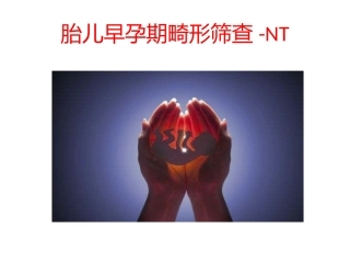 胎儿早孕期畸形筛查NT