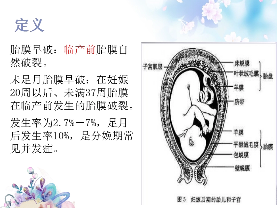 胎膜早破的护理_第2页