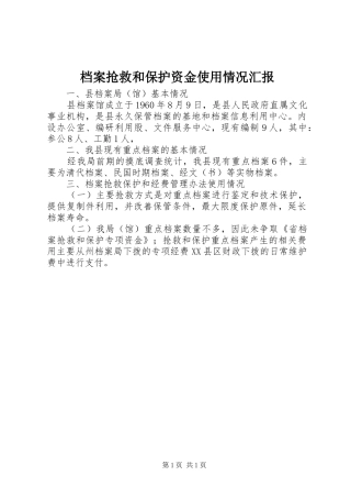 档案抢救和保护资金使用情况汇报