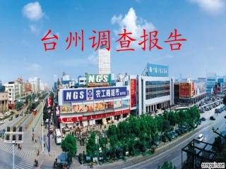 台州调查报告资料