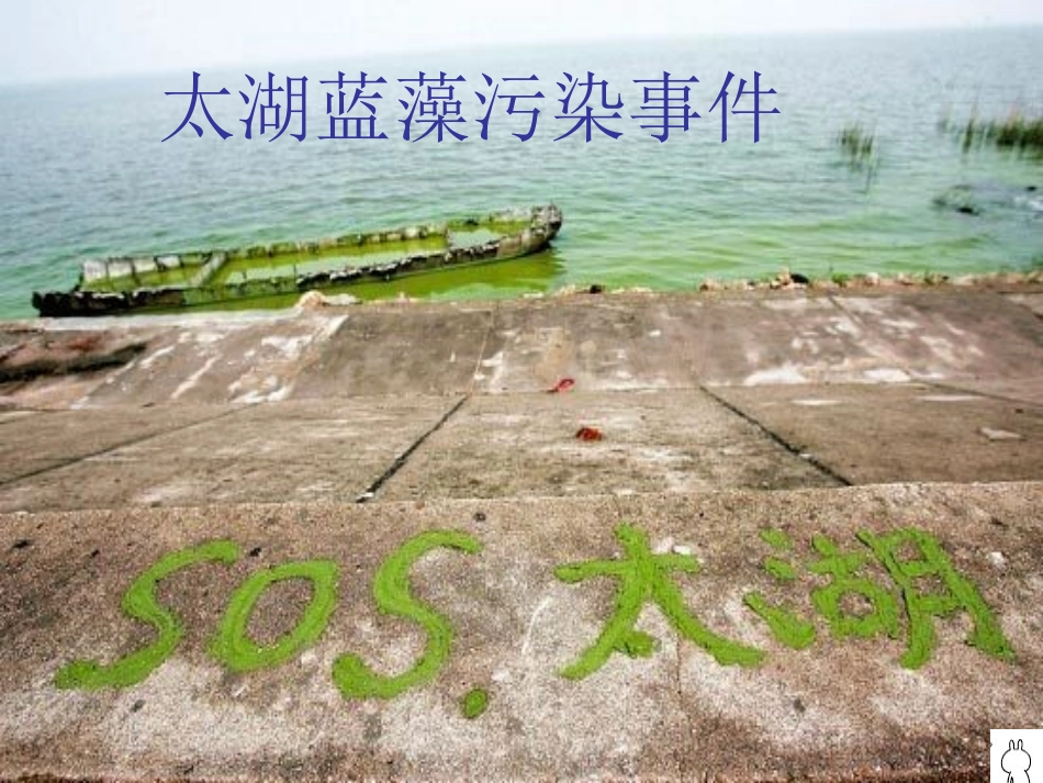 太湖蓝藻污染事件_第1页