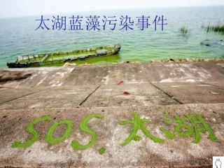 太湖蓝藻污染事件