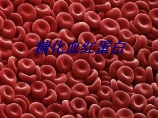 糖化血红蛋白医学课件