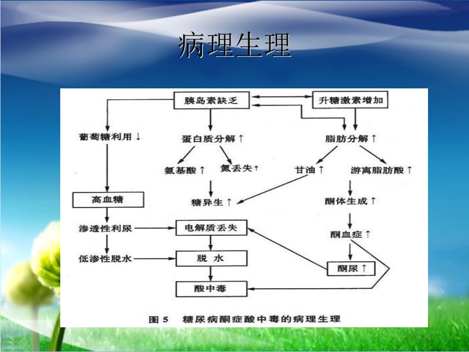 糖尿病酮症酸中毒医学课件_第3页