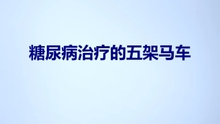 糖尿病治疗的五架马车讲义